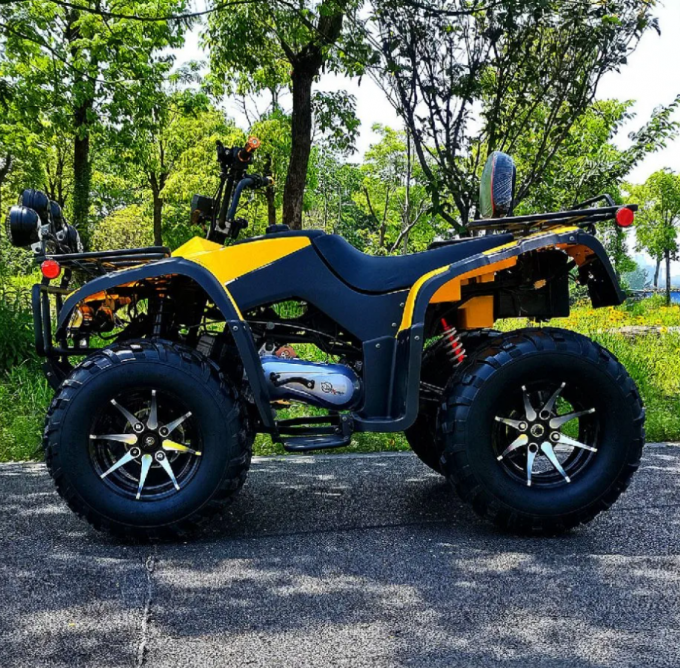 250cc Four-Wheel Drive ATV Longding Quad ATV Farmer Quad Bike